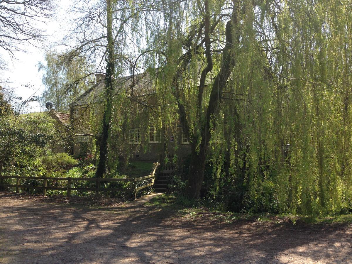 Chiselborough Bagnell Cottage المظهر الخارجي الصورة