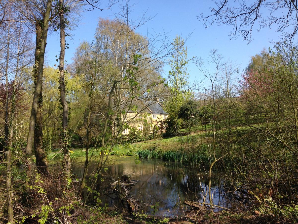Chiselborough Bagnell Cottage المظهر الخارجي الصورة