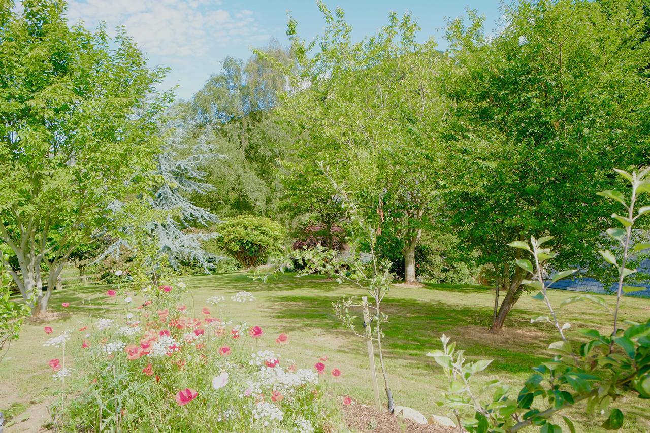 Chiselborough Bagnell Cottage المظهر الخارجي الصورة