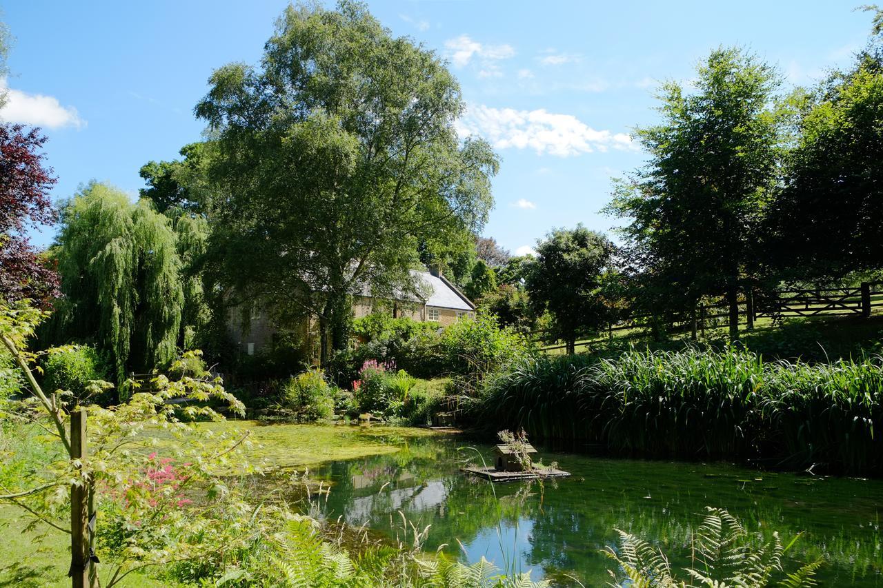 Chiselborough Bagnell Cottage المظهر الخارجي الصورة