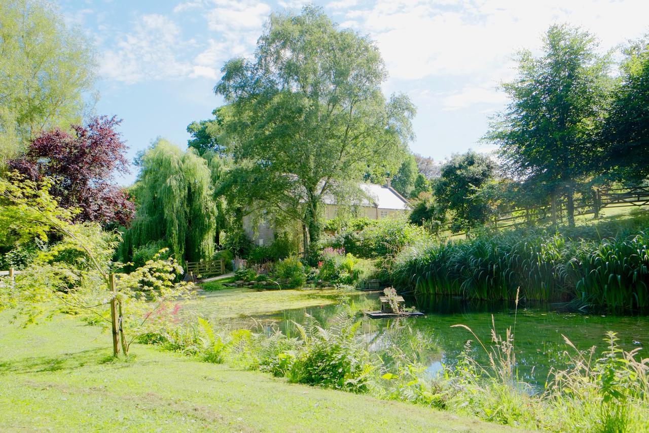 Chiselborough Bagnell Cottage المظهر الخارجي الصورة