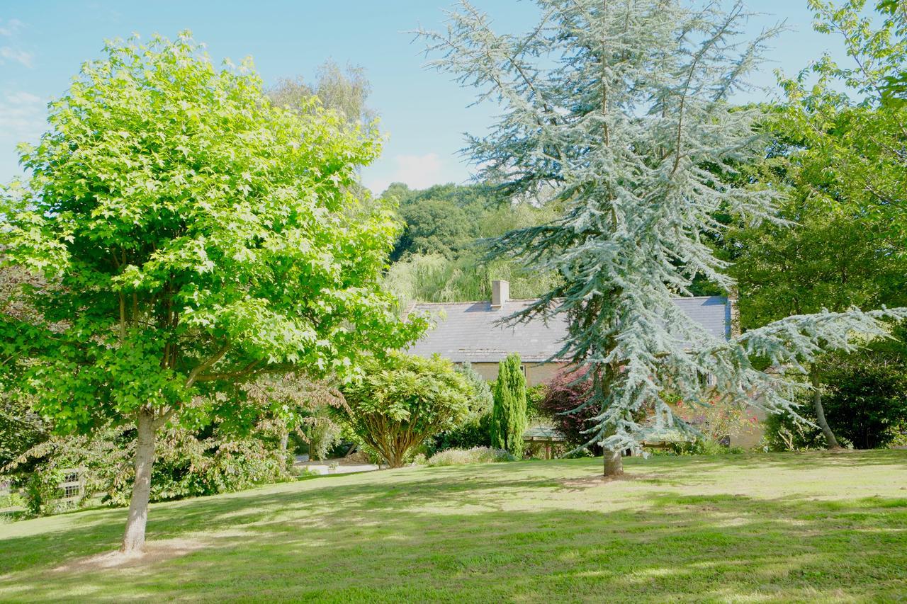 Chiselborough Bagnell Cottage المظهر الخارجي الصورة