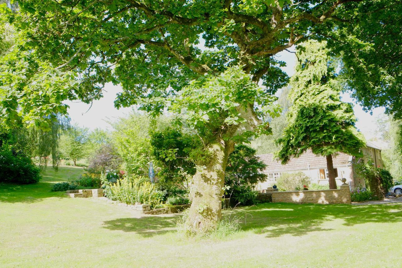 Chiselborough Bagnell Cottage المظهر الخارجي الصورة